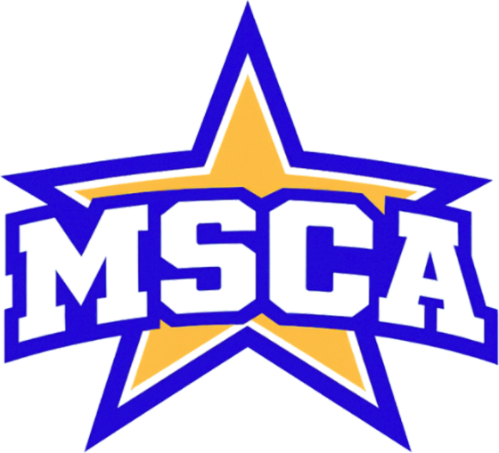 MSCA star logo
